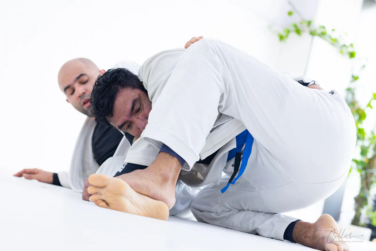 Brazilian Jiu-Jitsu training at Knots & Collar, Defence Colony, New Delhi