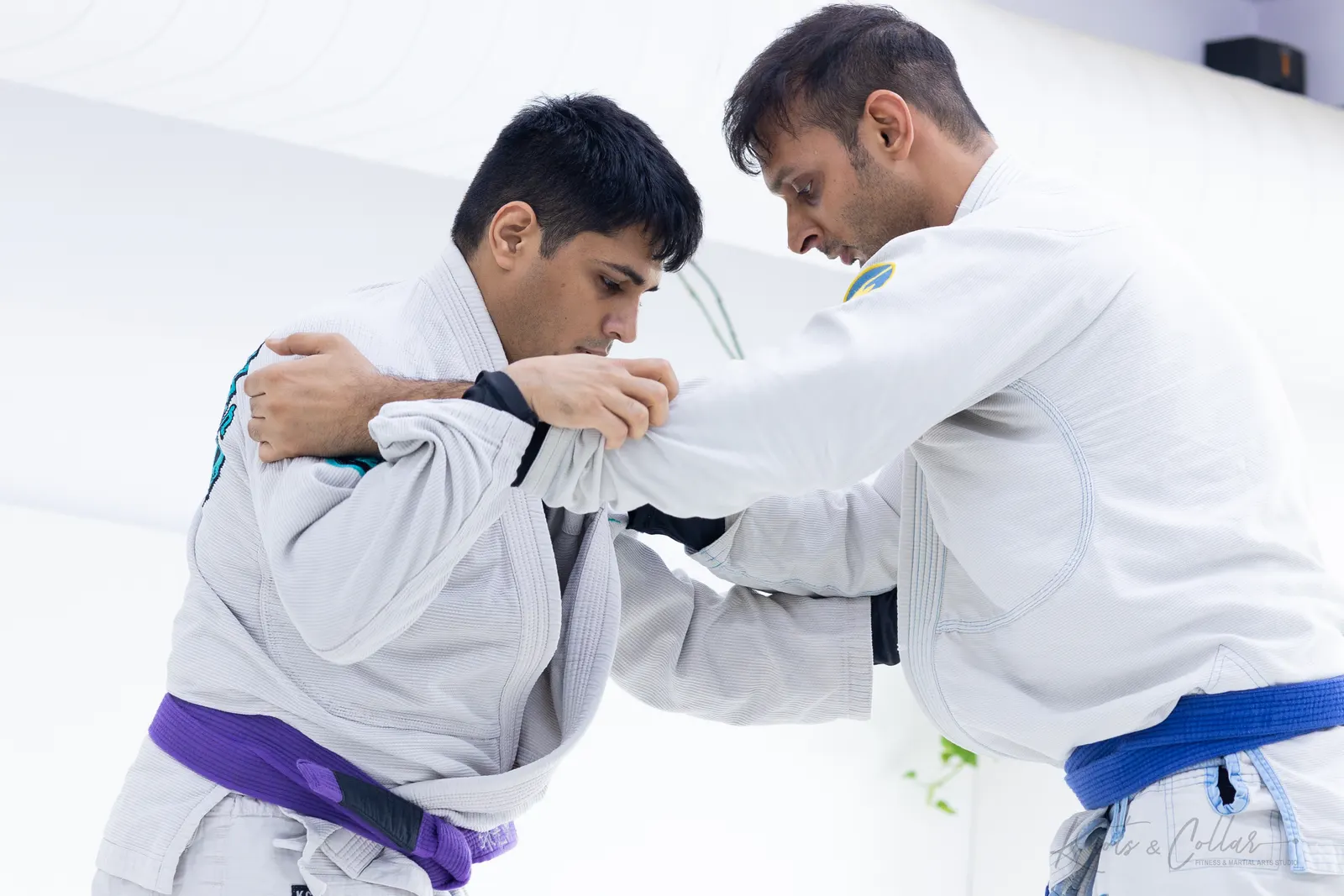 Grappling training at Knots & Collar, Defence Colony, New Delhi