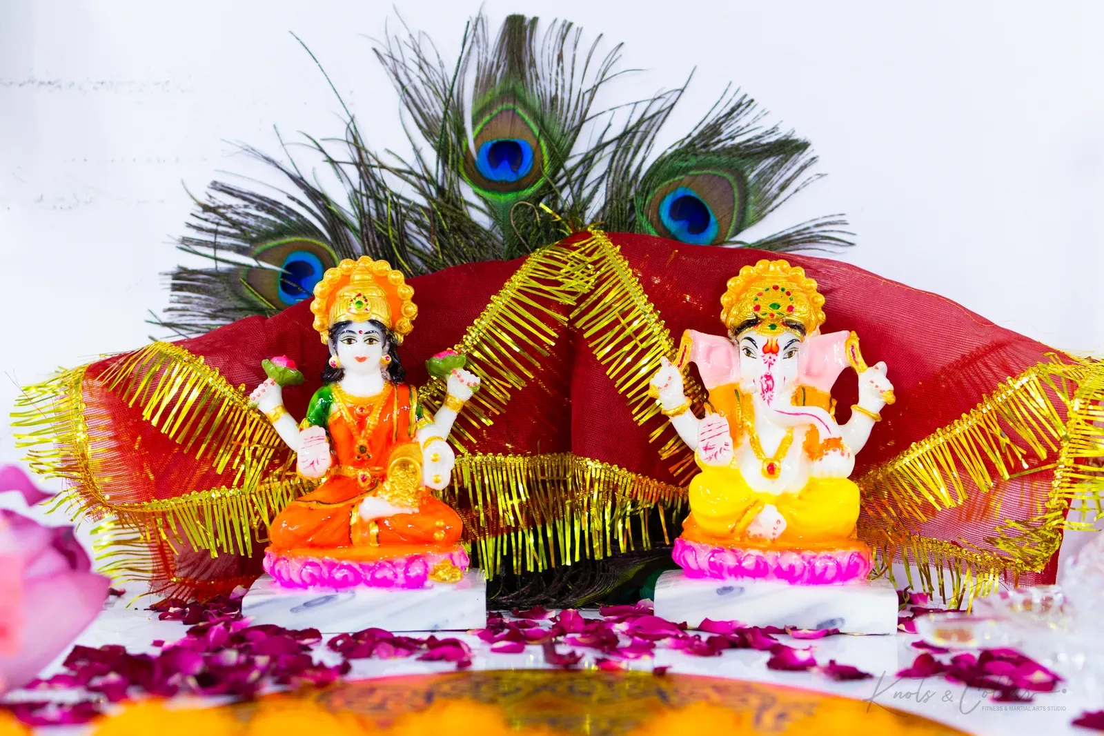 The studio's Diwali celebration at Knots & Collar, Defence Colony, New Delhi, India