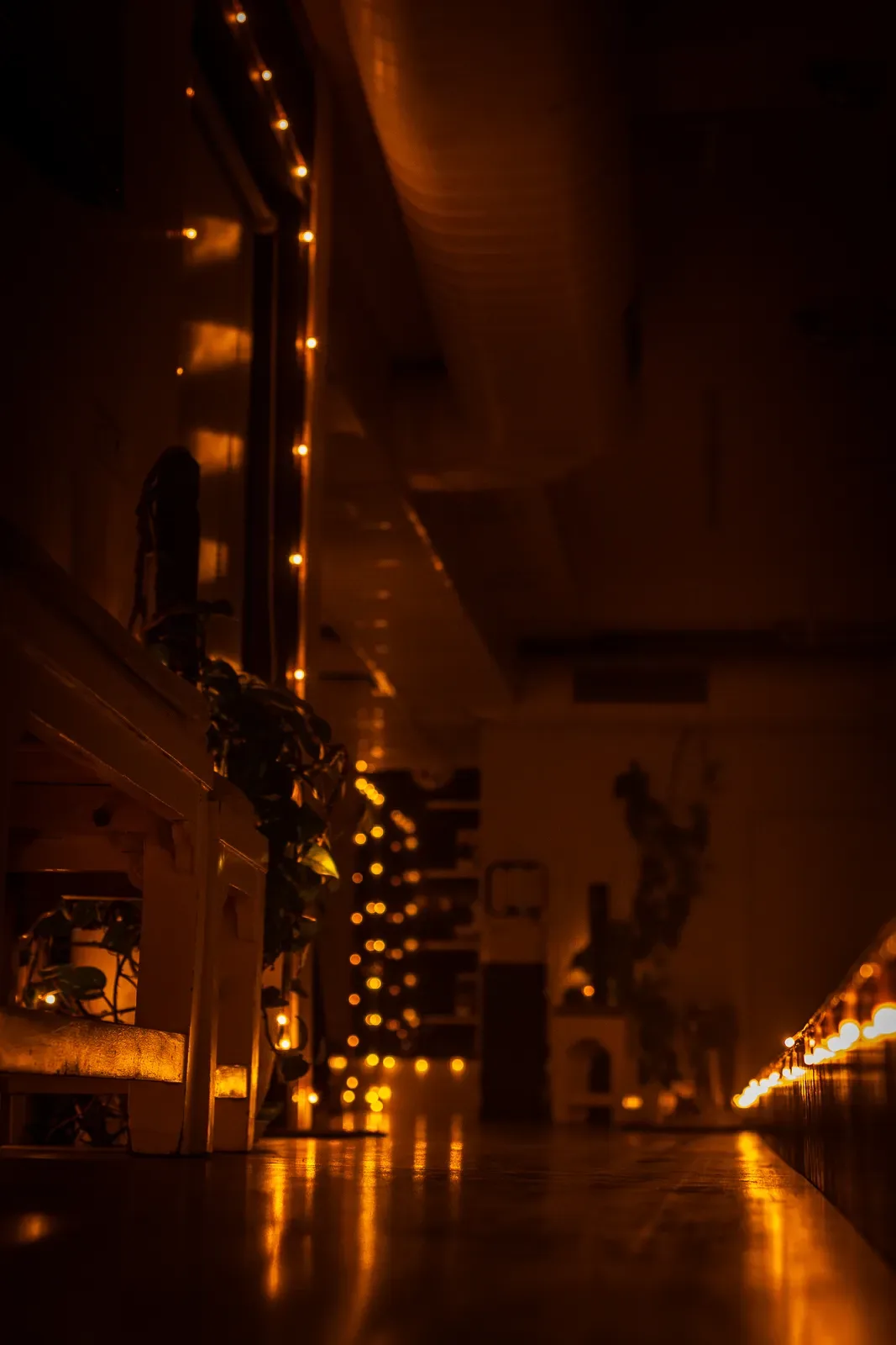 The studio's Diwali celebration at Knots & Collar, Defence Colony, New Delhi, India