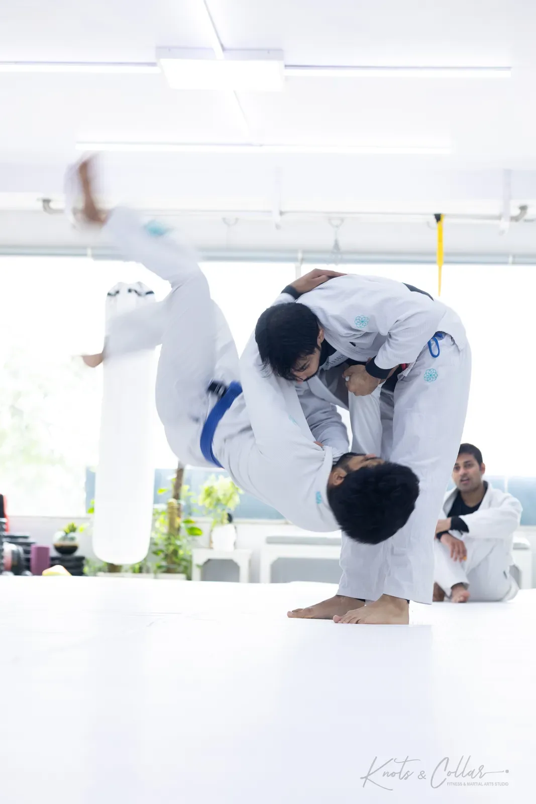 Gi Brazilian Jiu-Jitsu training at Knots & Collar, Defence Colony, New Delhi, India