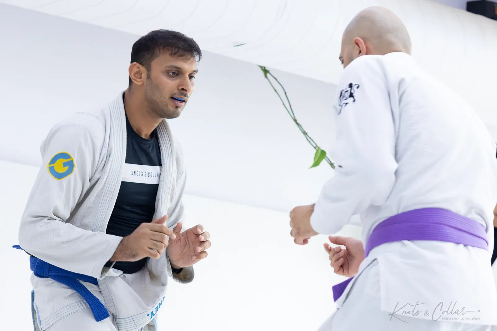 Gi Brazilian Jiu-Jitsu training at Knots & Collar, Defence Colony, New Delhi, India
