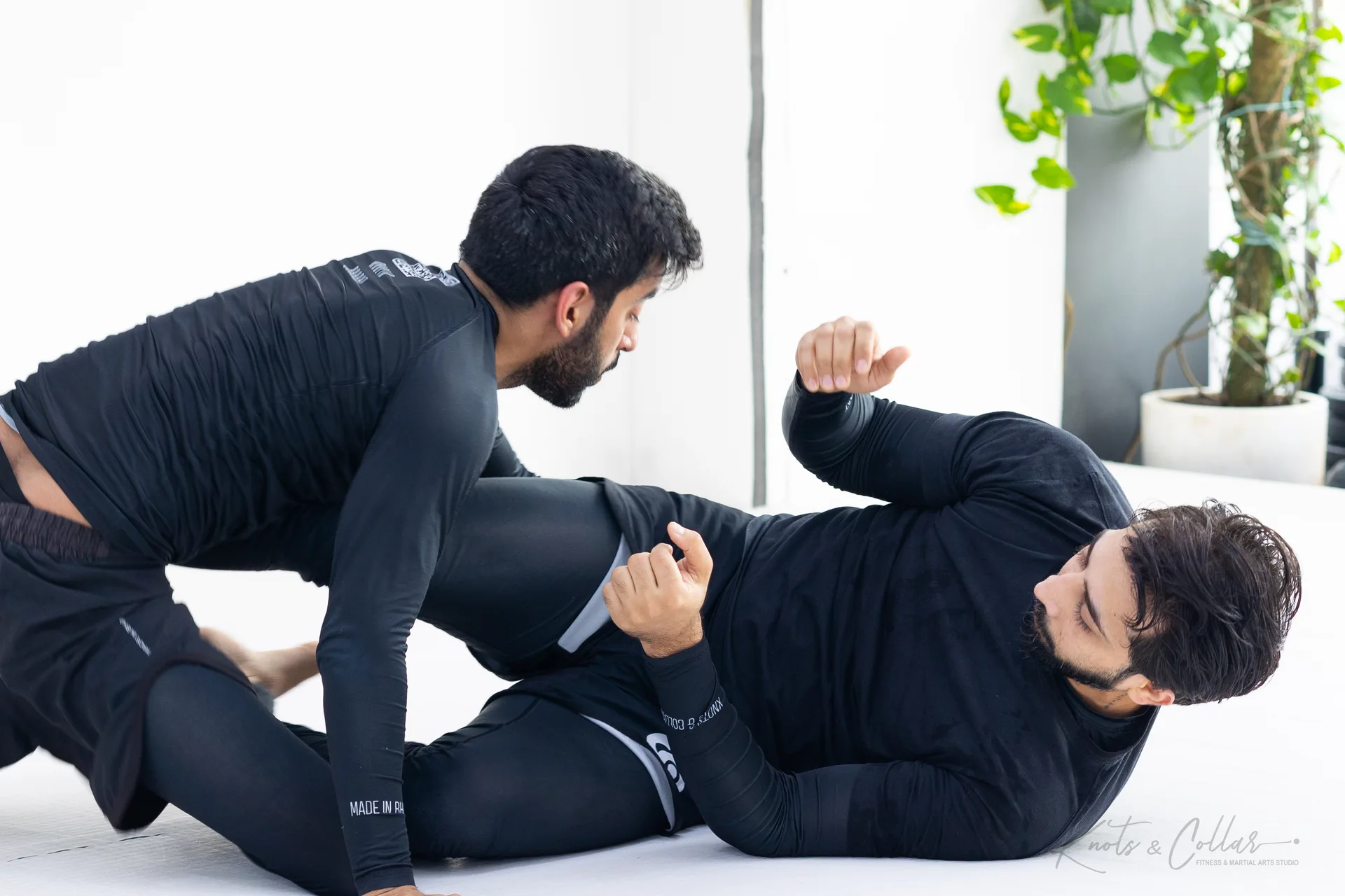 Brazilian Jiu-Jitsu at Knots & Collar, a jiu-jitsu studio in Defence Colony, New Delhi
