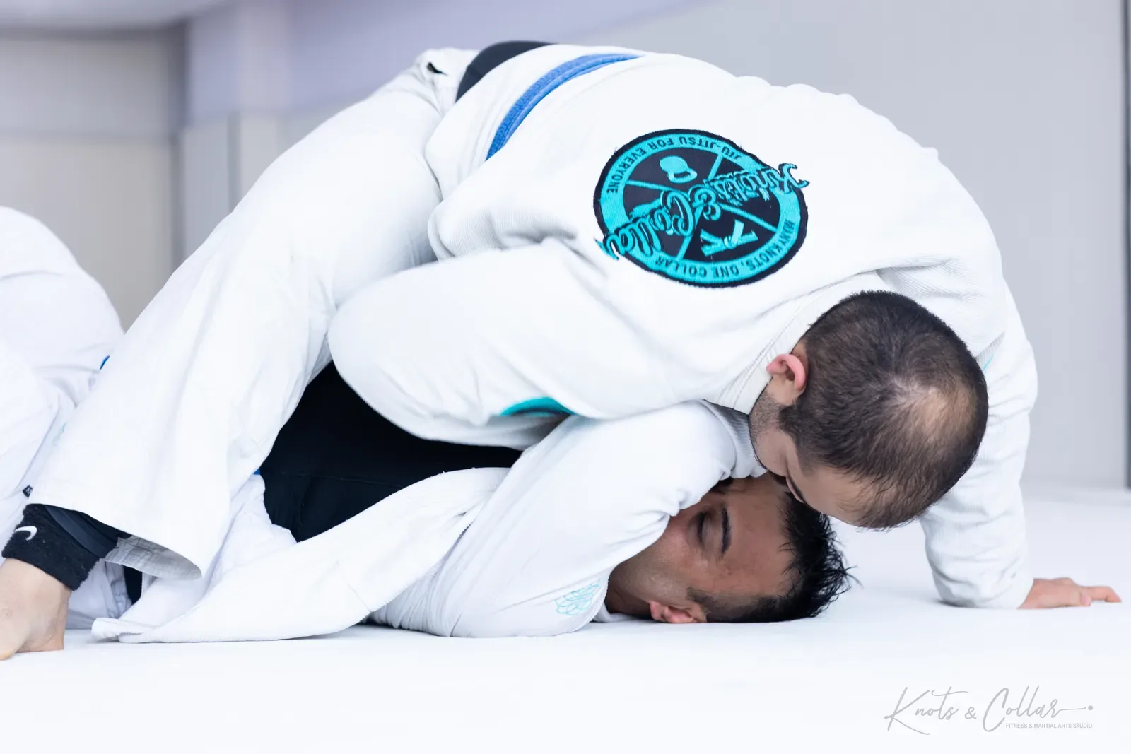 Adults competing at King of the Tatami (August 2026) at Knots & Collar, Defence Colony, New Delhi, India