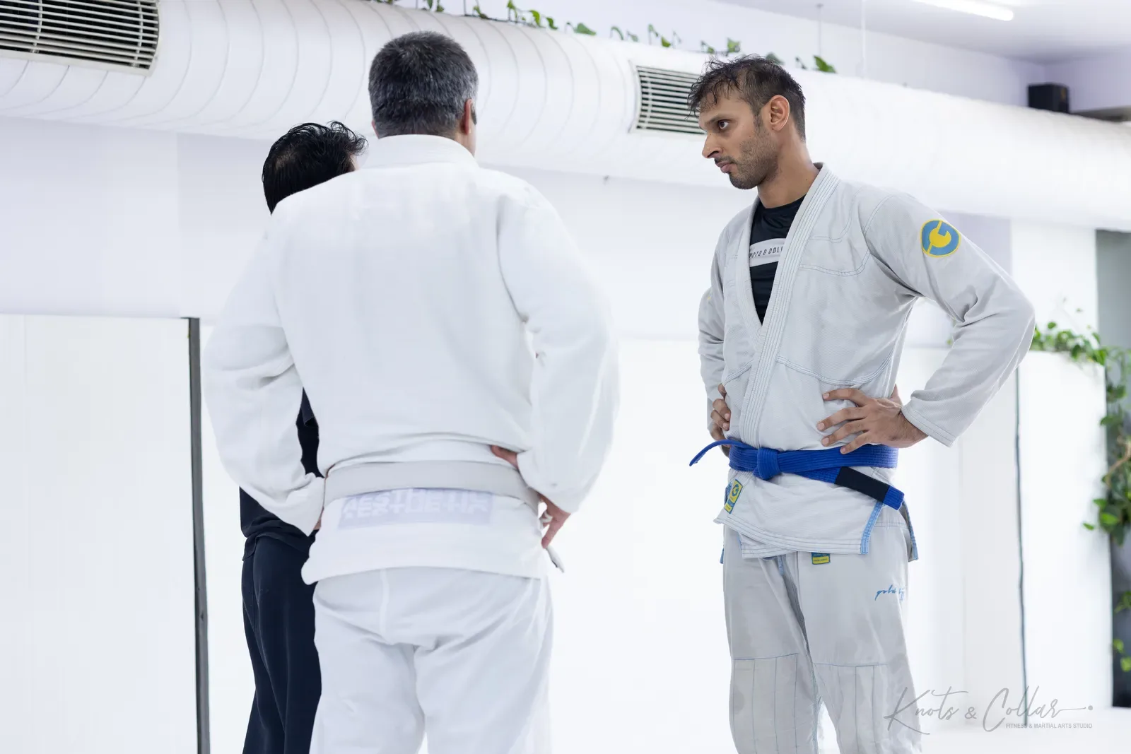 King of the Tatami — Adults, August 2026: a Brazilian Jiu-Jitsu competition at Knots & Collar, Defence Colony, New Delhi, India