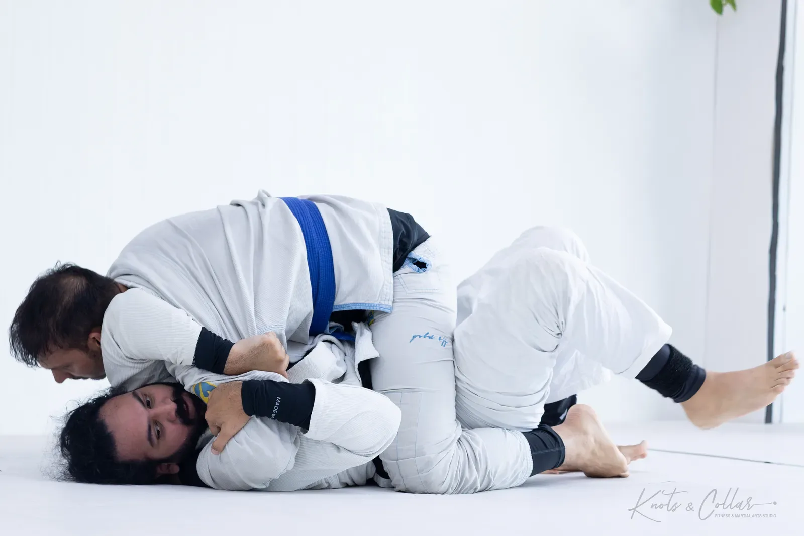 King of the Tatami — Adults, August 2026: a Brazilian Jiu-Jitsu competition at Knots & Collar, Defence Colony, New Delhi, India