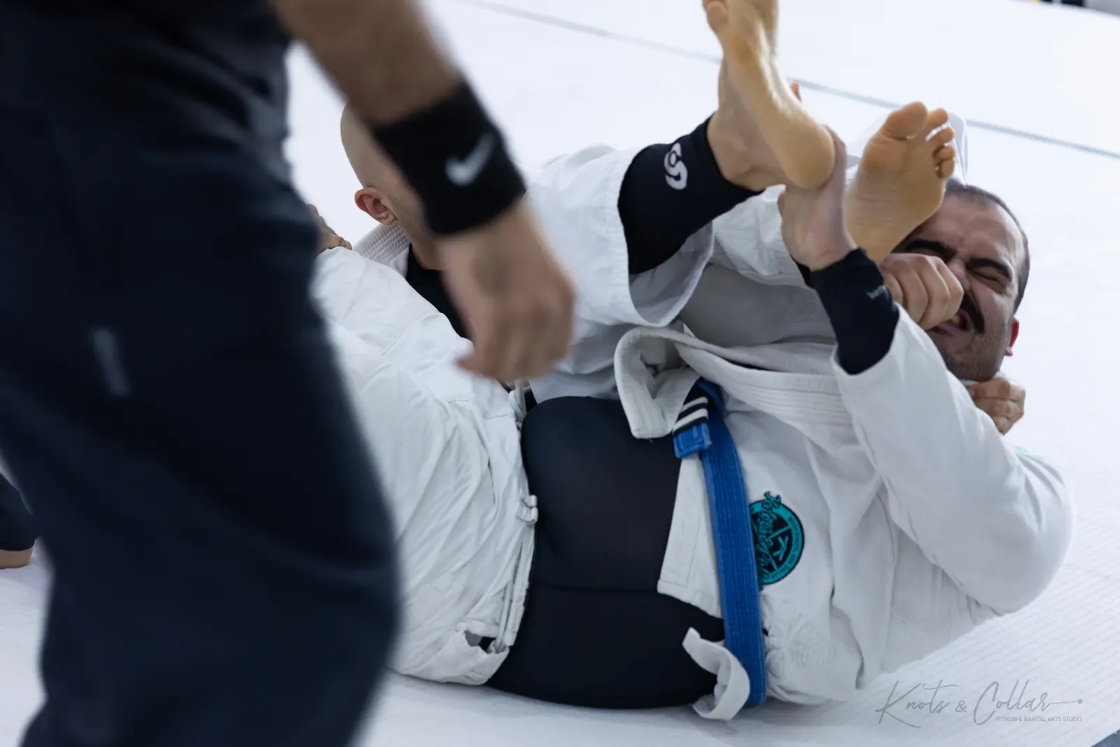 King of the Tatami — Adults, August 2026: a Brazilian Jiu-Jitsu competition at Knots & Collar, Defence Colony, New Delhi, India