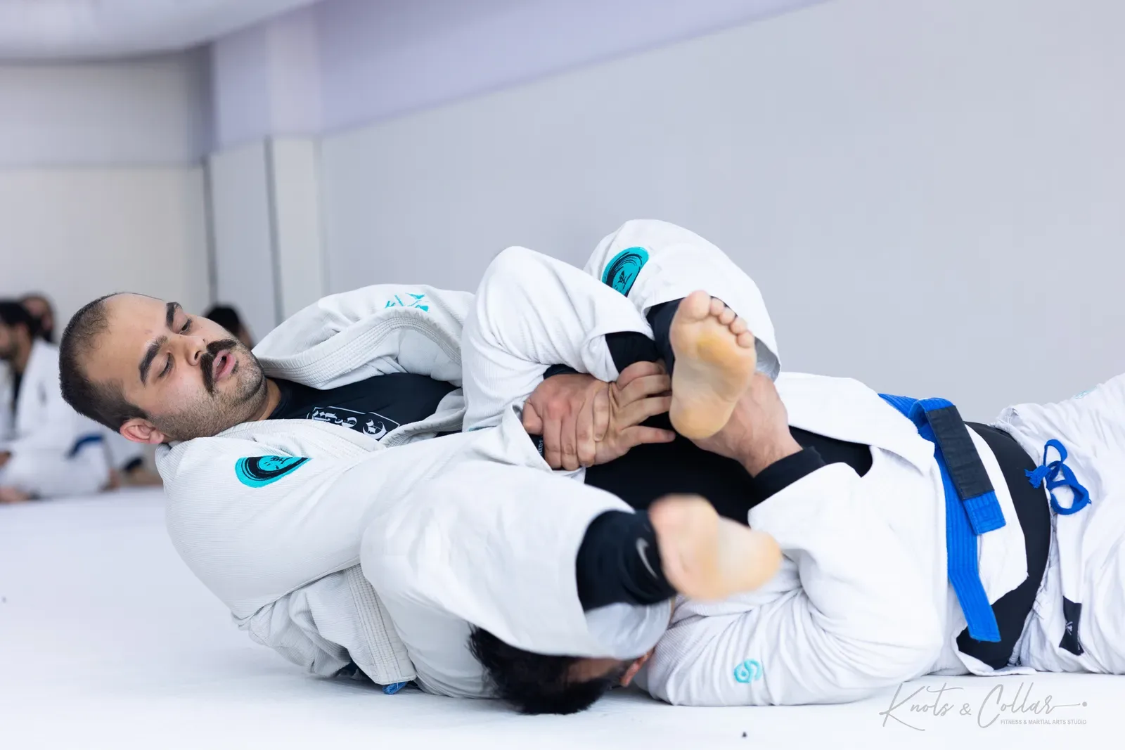 Adults competing at King of the Tatami (August 2026) at Knots & Collar, Defence Colony, New Delhi, India
