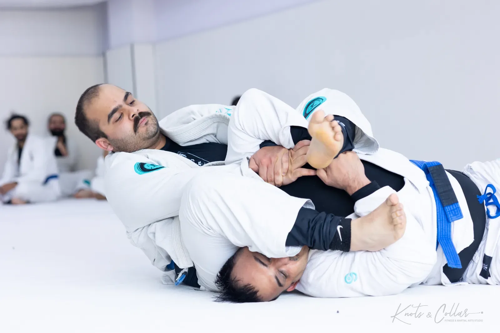 King of the Tatami — Adults, August 2026: a Brazilian Jiu-Jitsu competition at Knots & Collar, Defence Colony, New Delhi, India