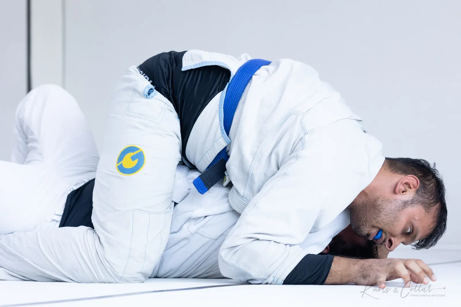 King of the Tatami — Adults, August 2026: a Brazilian Jiu-Jitsu competition at Knots & Collar, Defence Colony, New Delhi, India