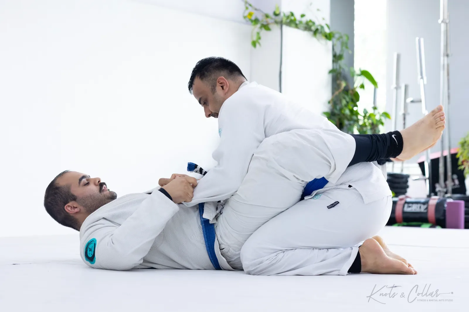 Adults competing at King of the Tatami (August 2026) at Knots & Collar, Defence Colony, New Delhi, India