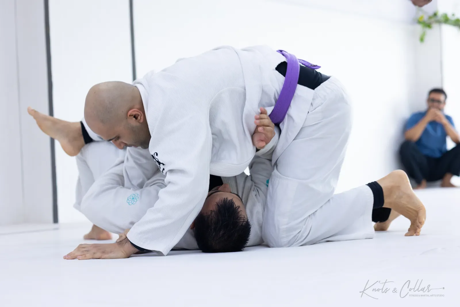 King of the Tatami — Adults, August 2026: a Brazilian Jiu-Jitsu competition at Knots & Collar, Defence Colony, New Delhi, India