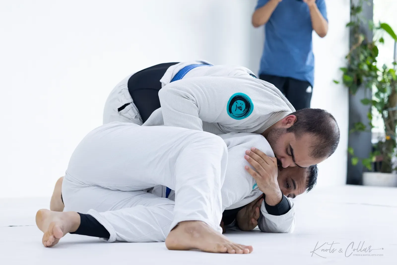 Adults competing at King of the Tatami (August 2026) at Knots & Collar, Defence Colony, New Delhi, India