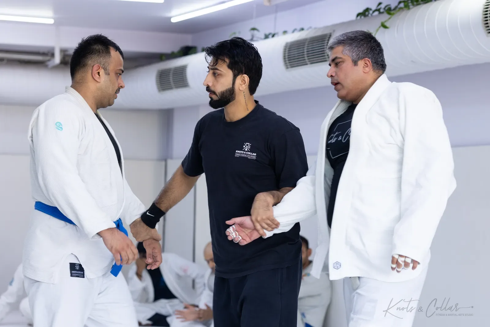 Adults competing at King of the Tatami (August 2026) at Knots & Collar, Defence Colony, New Delhi, India