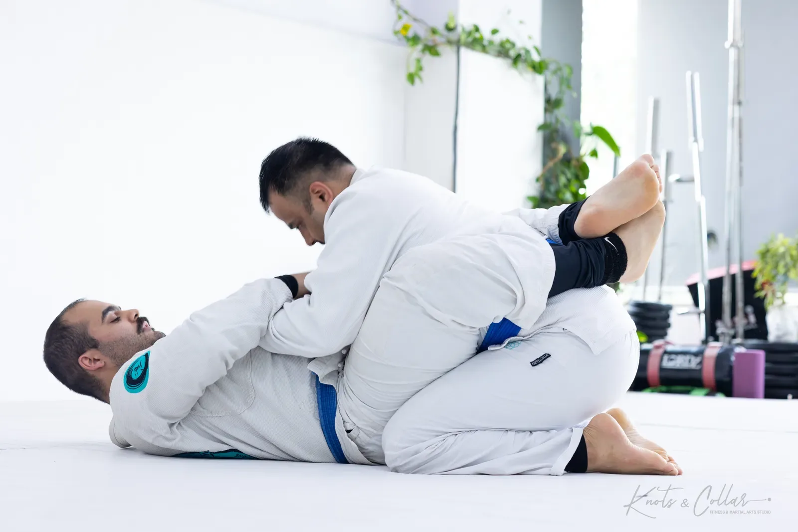 King of the Tatami — Adults, August 2026: a Brazilian Jiu-Jitsu competition at Knots & Collar, Defence Colony, New Delhi, India