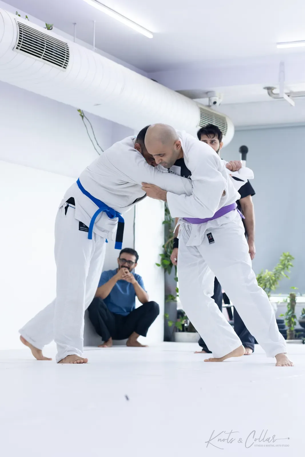 Adults competing at King of the Tatami (August 2026) at Knots & Collar, Defence Colony, New Delhi, India