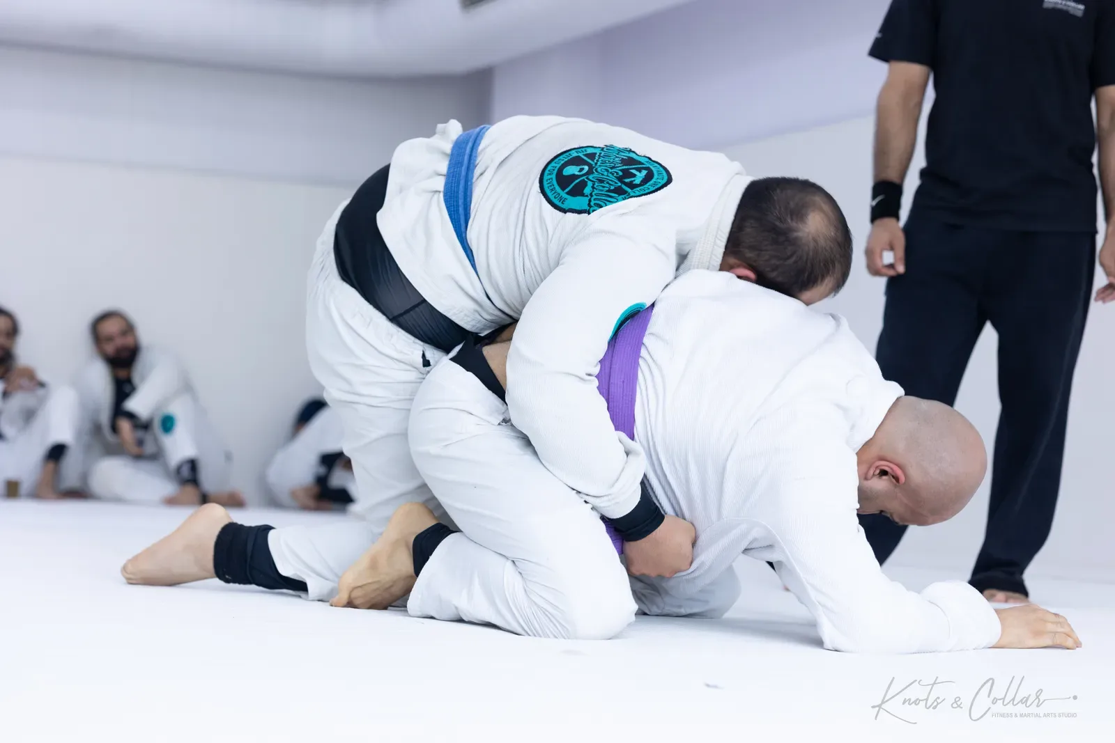 King of the Tatami — Adults, August 2026: a Brazilian Jiu-Jitsu competition at Knots & Collar, Defence Colony, New Delhi, India