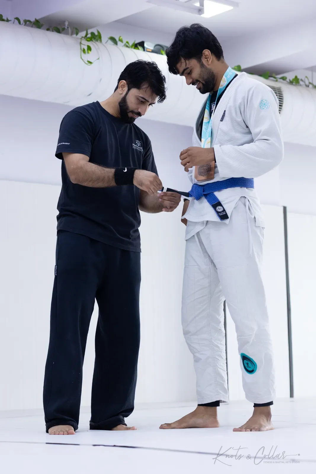 King of the Tatami — Adults, August 2026: a Brazilian Jiu-Jitsu competition at Knots & Collar, Defence Colony, New Delhi, India