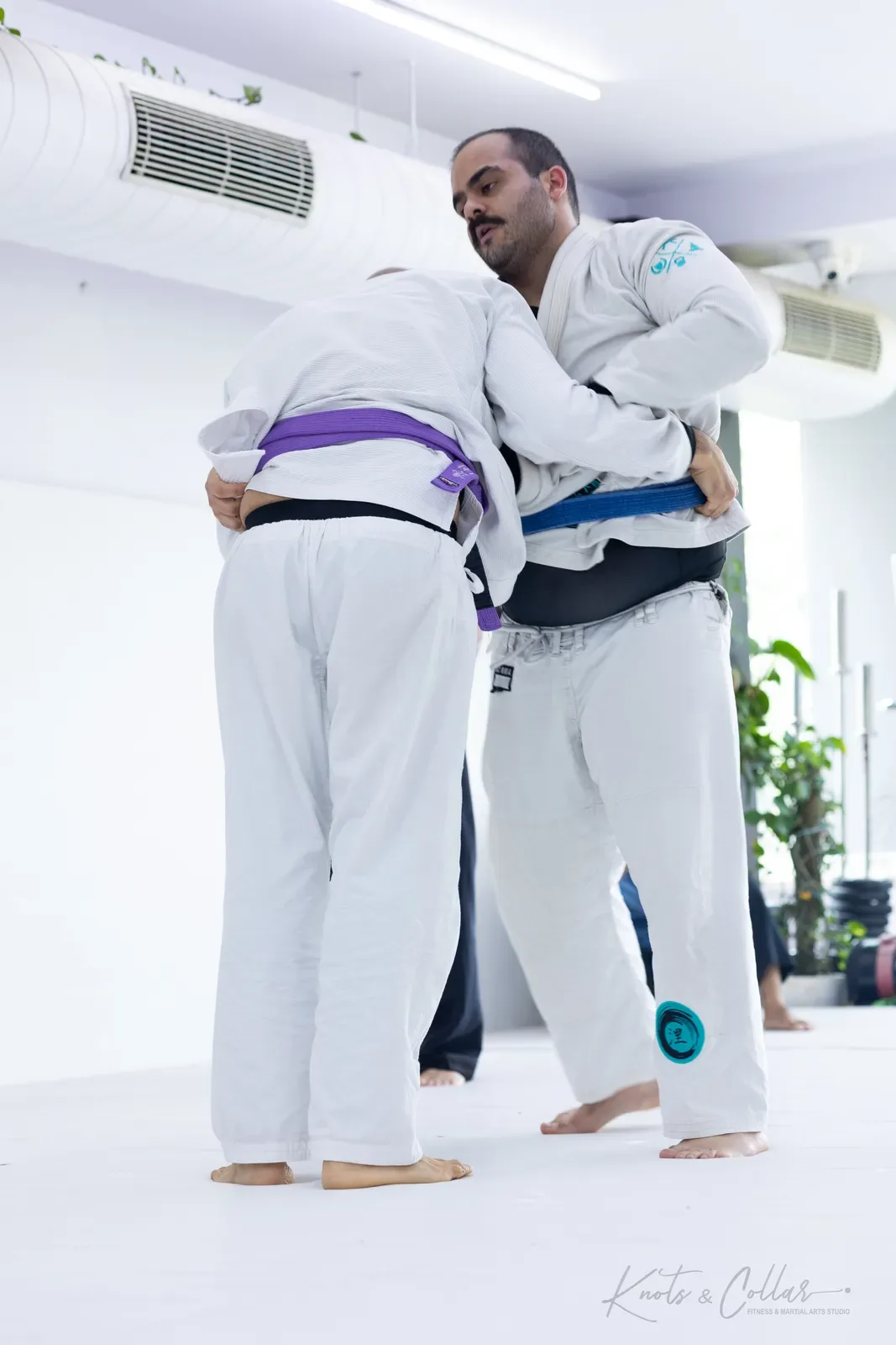 King of the Tatami — Adults, August 2026: a Brazilian Jiu-Jitsu competition at Knots & Collar, Defence Colony, New Delhi, India