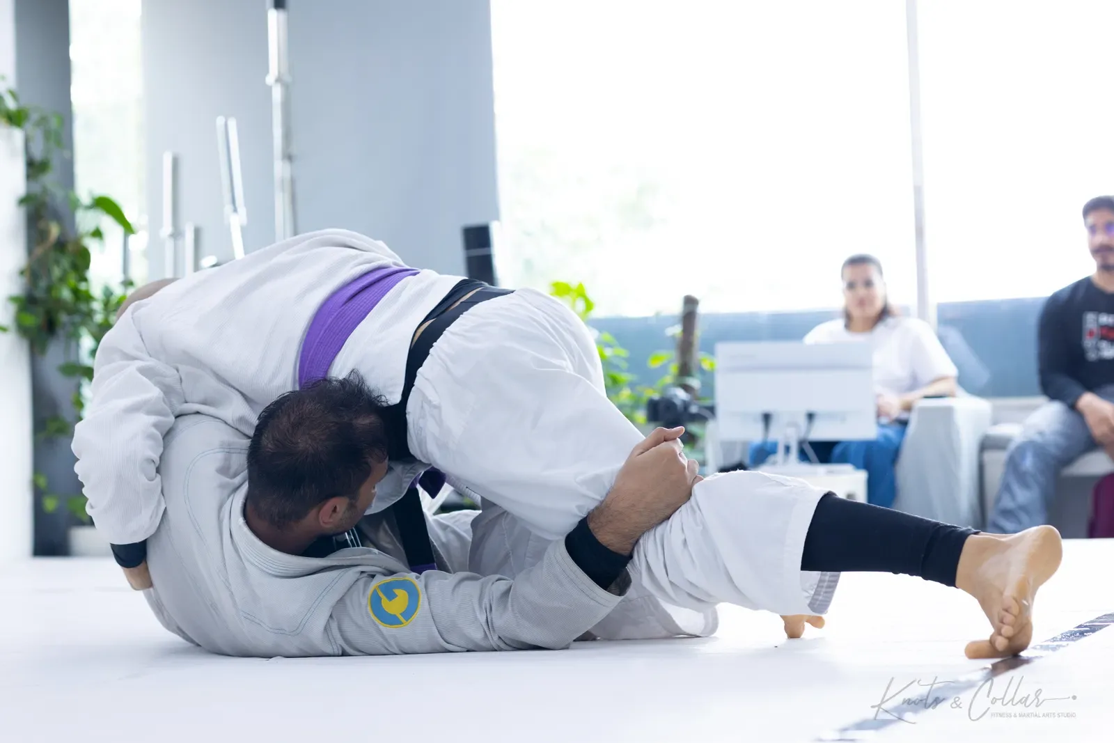 King of the Tatami — Adults, August 2026: a Brazilian Jiu-Jitsu competition at Knots & Collar, Defence Colony, New Delhi, India