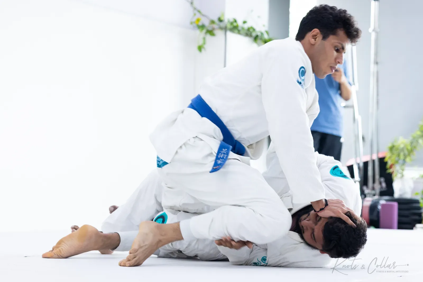 Adults competing at King of the Tatami (August 2026) at Knots & Collar, Defence Colony, New Delhi, India