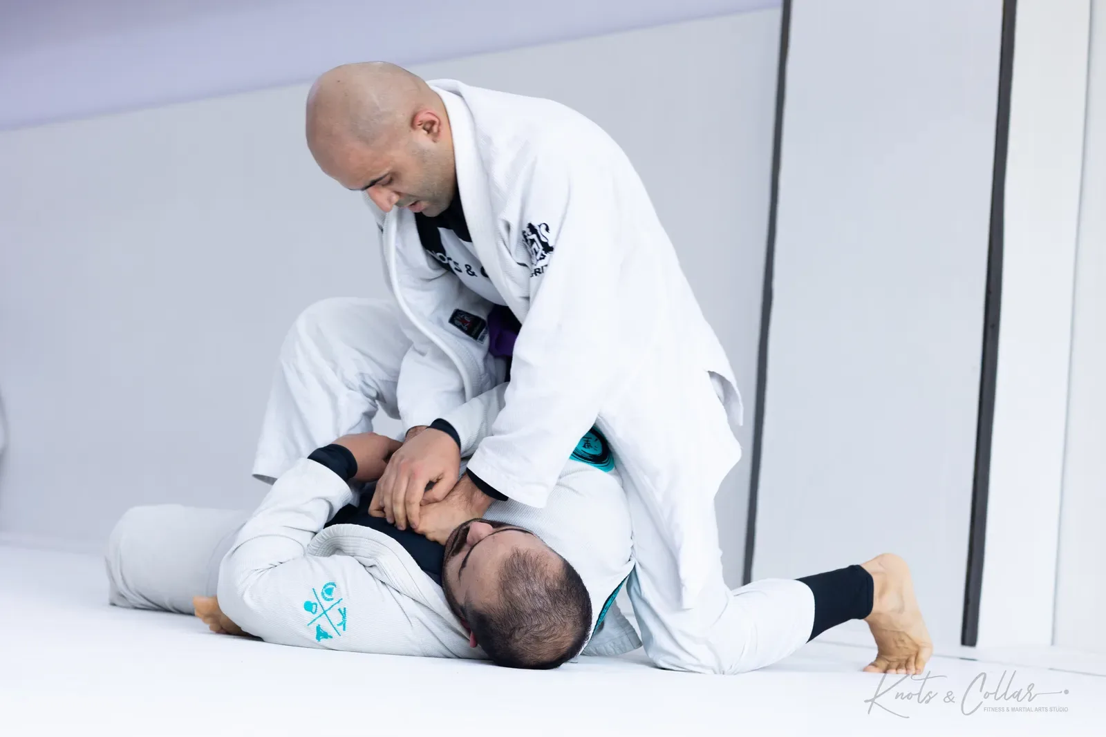 King of the Tatami — Adults, August 2026: a Brazilian Jiu-Jitsu competition at Knots & Collar, Defence Colony, New Delhi, India
