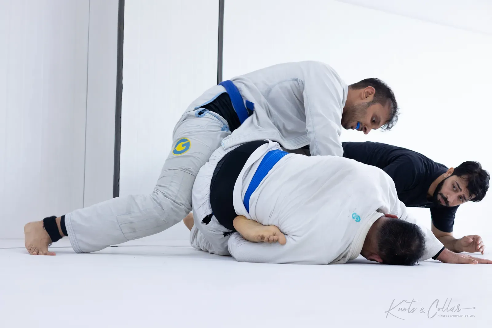 King of the Tatami — Adults, August 2026: a Brazilian Jiu-Jitsu competition at Knots & Collar, Defence Colony, New Delhi, India