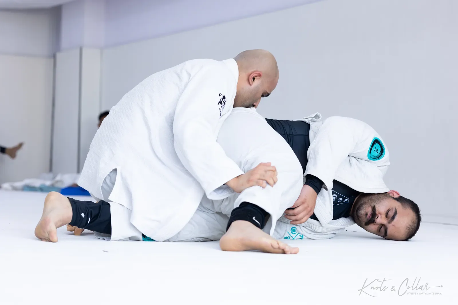 Adults competing at King of the Tatami (August 2026) at Knots & Collar, Defence Colony, New Delhi, India