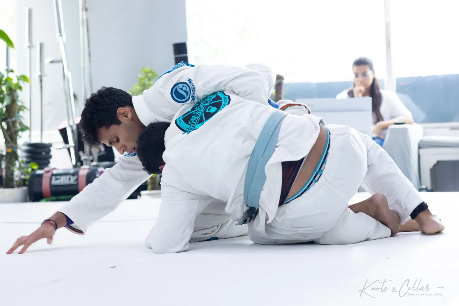 King of the Tatami — Adults, August 2026: a Brazilian Jiu-Jitsu competition at Knots & Collar, Defence Colony, New Delhi, India