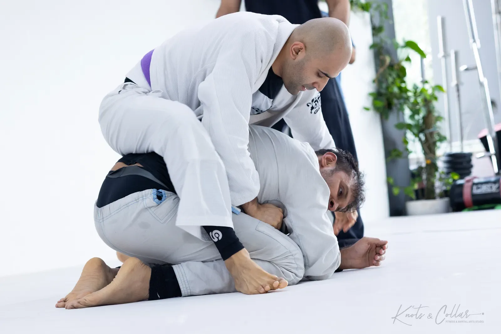 Adults competing at King of the Tatami (August 2026) at Knots & Collar, Defence Colony, New Delhi, India
