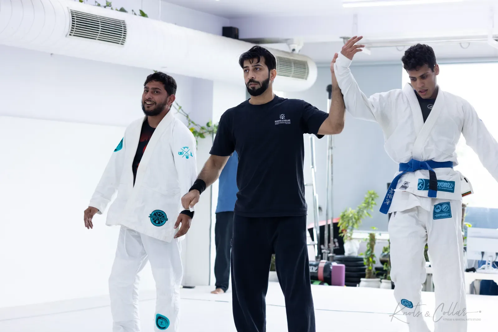 King of the Tatami — Adults, August 2026: a Brazilian Jiu-Jitsu competition at Knots & Collar, Defence Colony, New Delhi, India