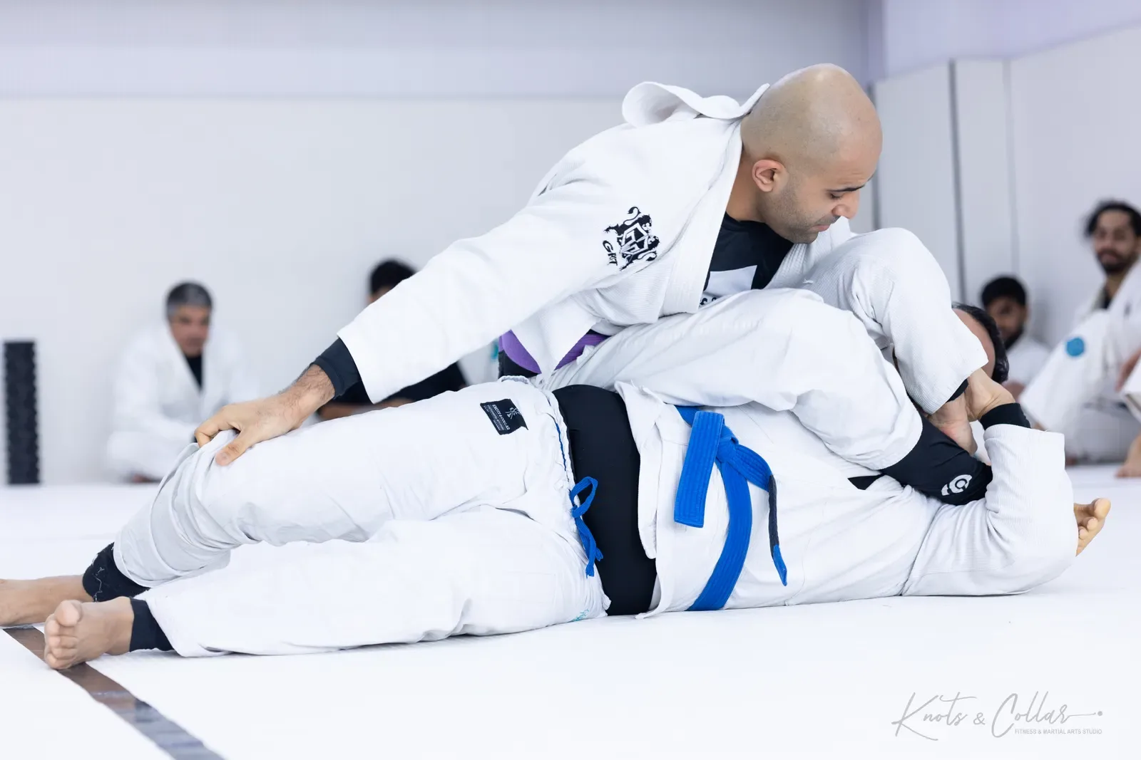 Adults competing at King of the Tatami (August 2026) at Knots & Collar, Defence Colony, New Delhi, India
