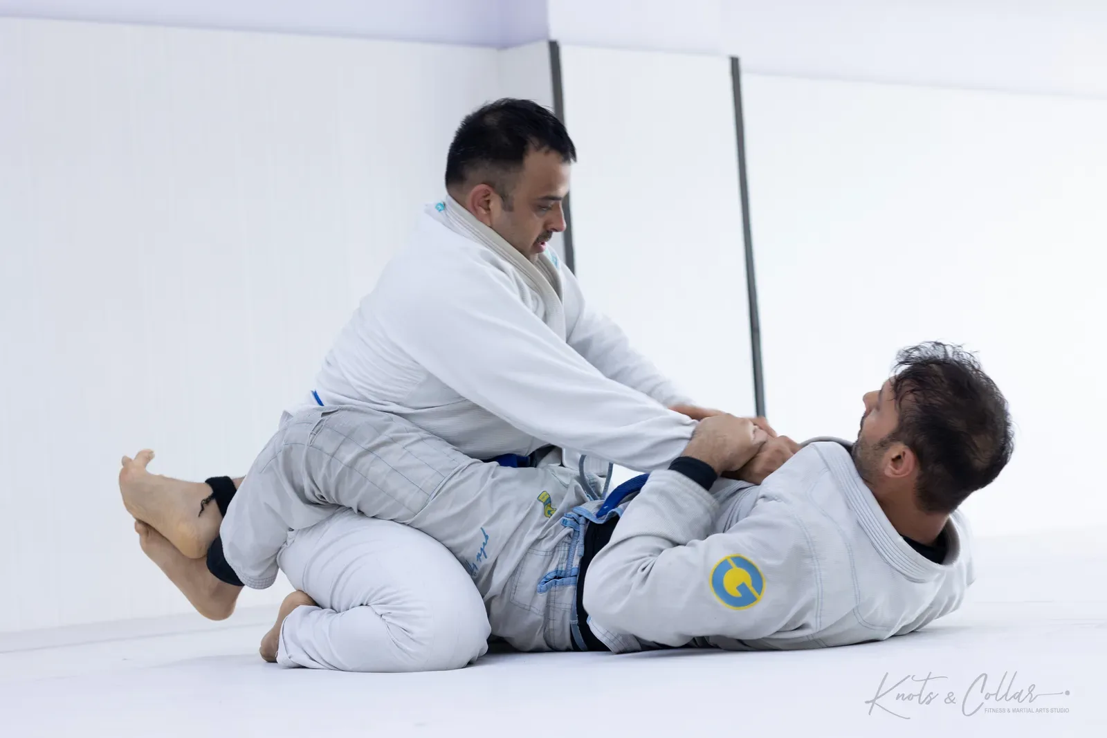 King of the Tatami — Adults, August 2026: a Brazilian Jiu-Jitsu competition at Knots & Collar, Defence Colony, New Delhi, India