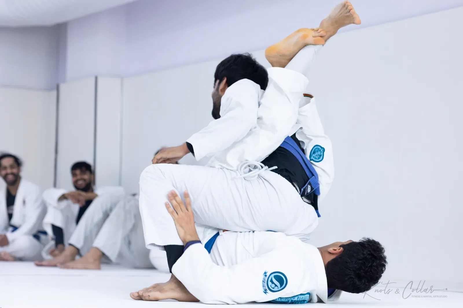King of the Tatami — Adults, August 2026: a Brazilian Jiu-Jitsu competition at Knots & Collar, Defence Colony, New Delhi, India