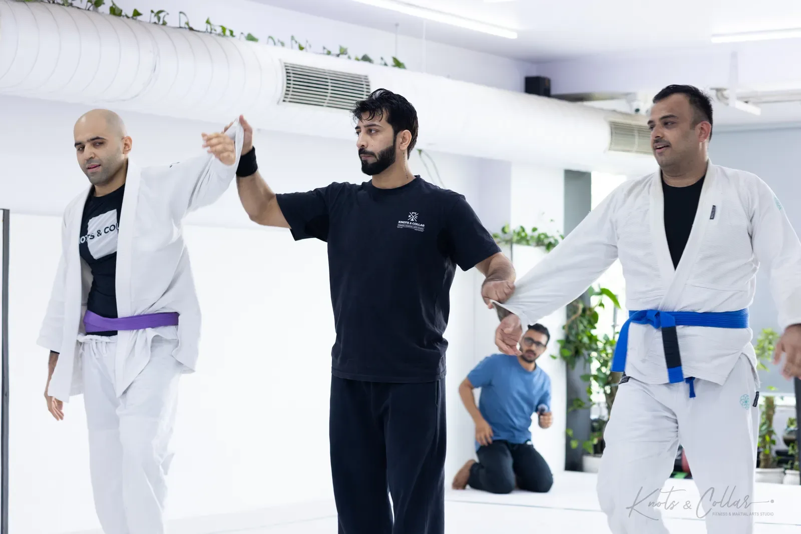 King of the Tatami — Adults, August 2026: a Brazilian Jiu-Jitsu competition at Knots & Collar, Defence Colony, New Delhi, India