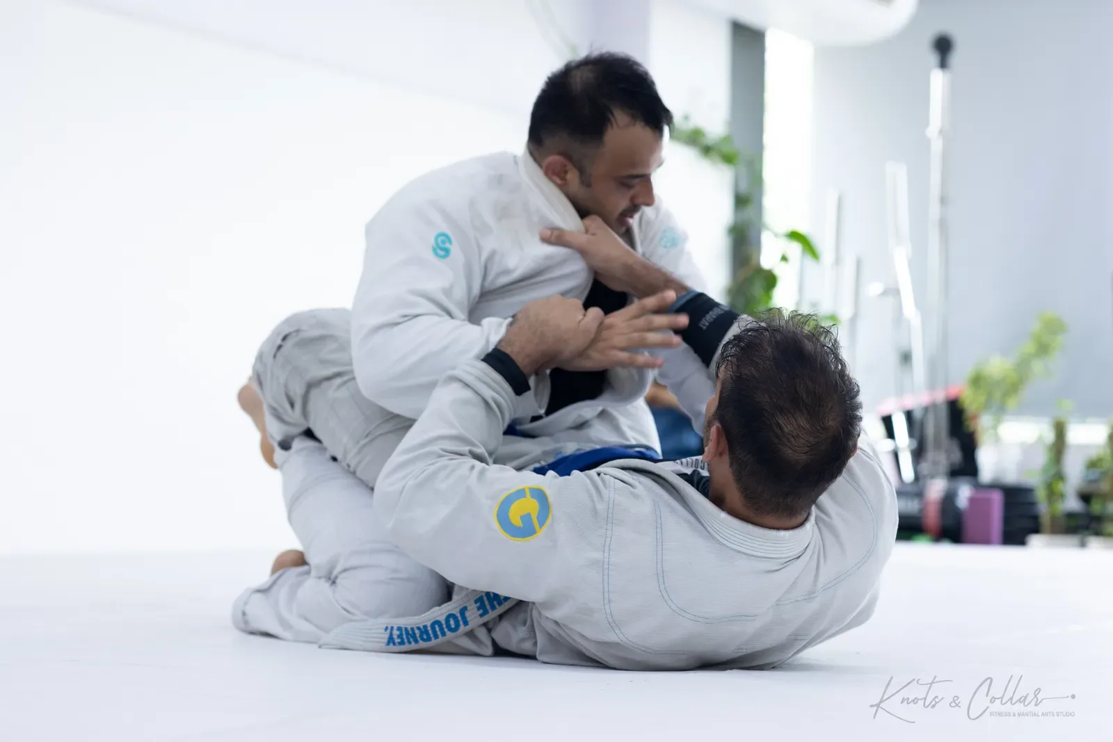 Adults competing at King of the Tatami (August 2026) at Knots & Collar, Defence Colony, New Delhi, India