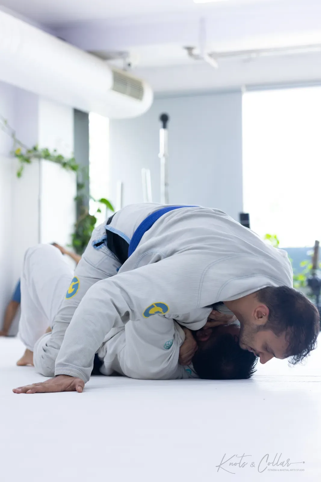 King of the Tatami — Adults, August 2026: a Brazilian Jiu-Jitsu competition at Knots & Collar, Defence Colony, New Delhi, India