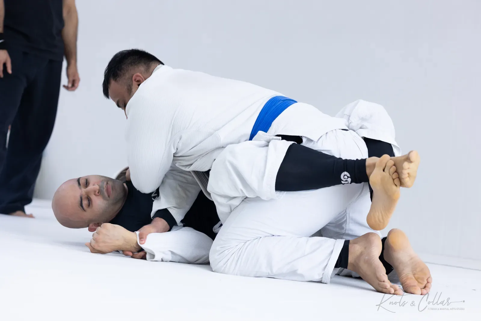 Adults competing at King of the Tatami (August 2026) at Knots & Collar, Defence Colony, New Delhi, India