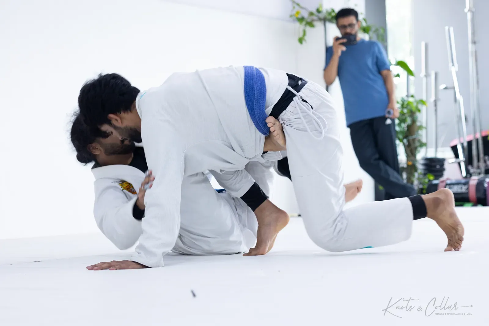 King of the Tatami — Adults, August 2026: a Brazilian Jiu-Jitsu competition at Knots & Collar, Defence Colony, New Delhi, India