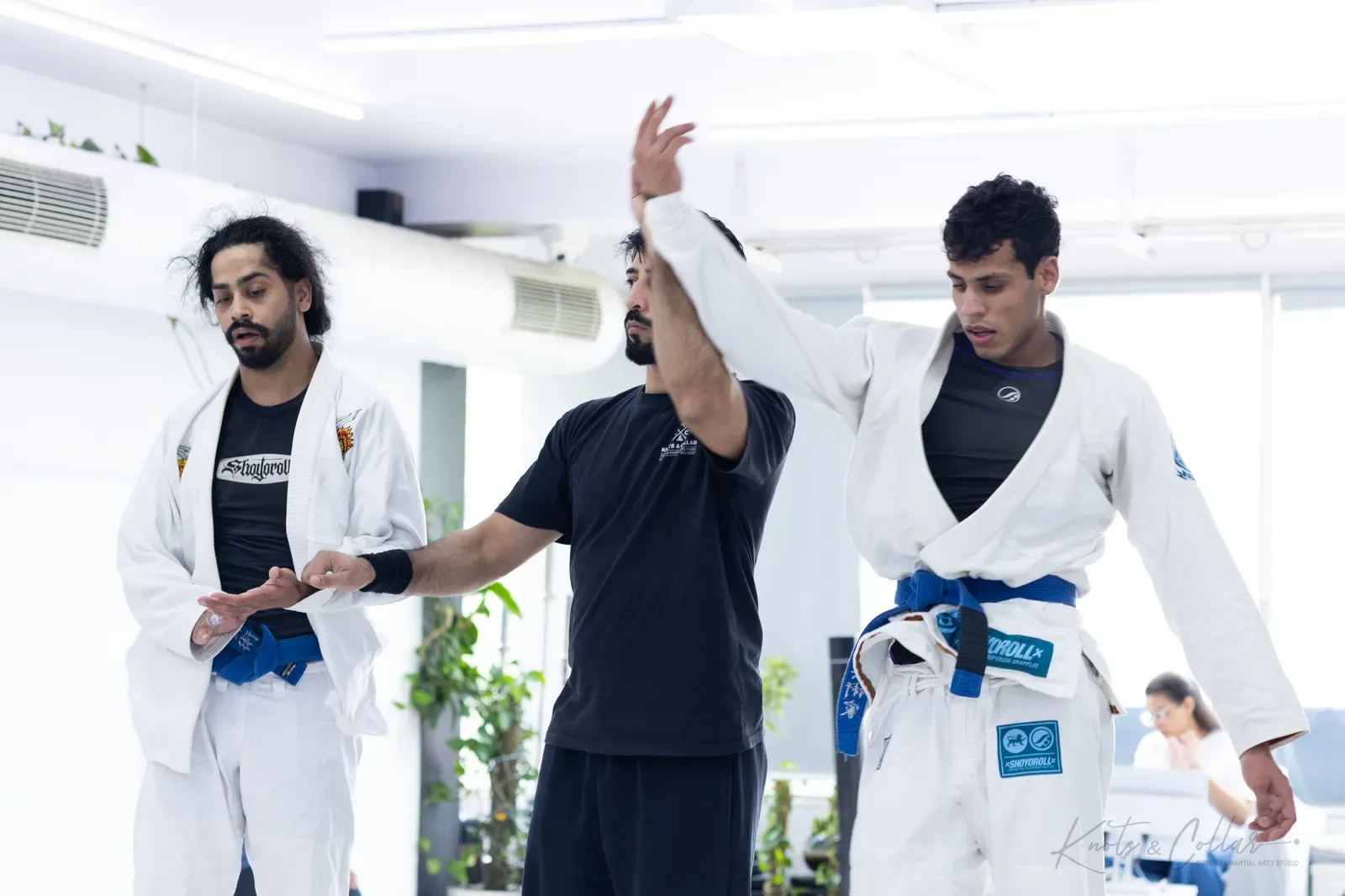 King of the Tatami — Adults, August 2026: a Brazilian Jiu-Jitsu competition at Knots & Collar, Defence Colony, New Delhi, India