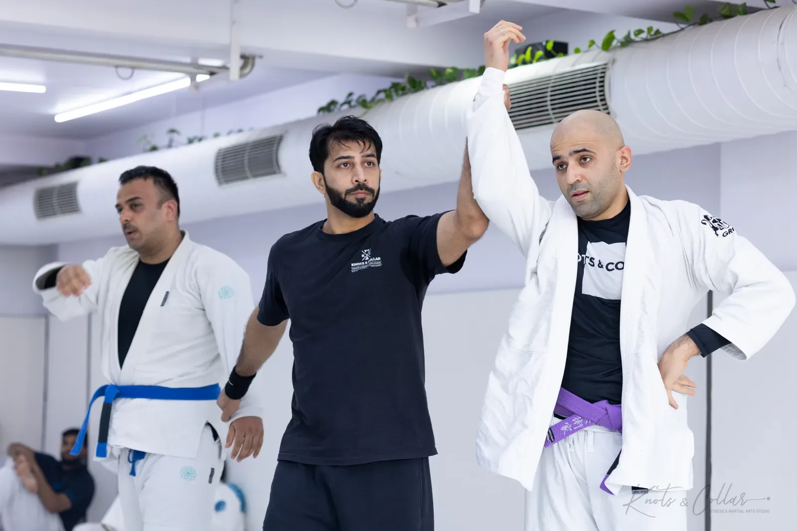 King of the Tatami — Adults, August 2026: a Brazilian Jiu-Jitsu competition at Knots & Collar, Defence Colony, New Delhi, India