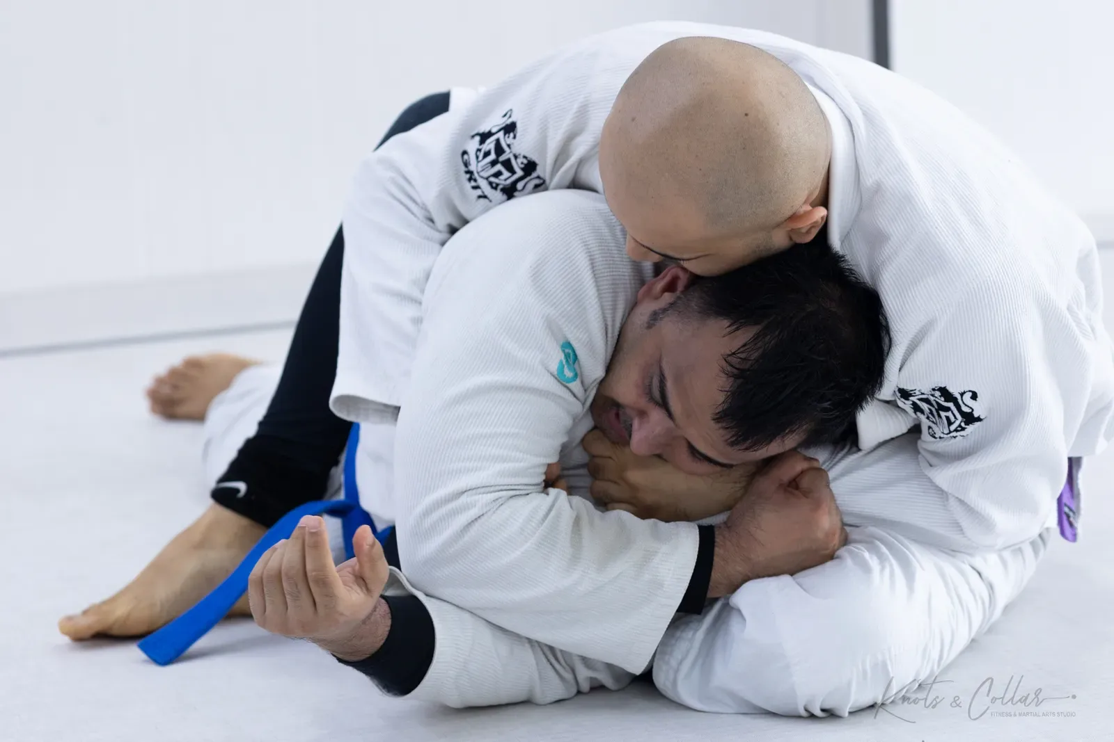 Adults competing at King of the Tatami (August 2026) at Knots & Collar, Defence Colony, New Delhi, India
