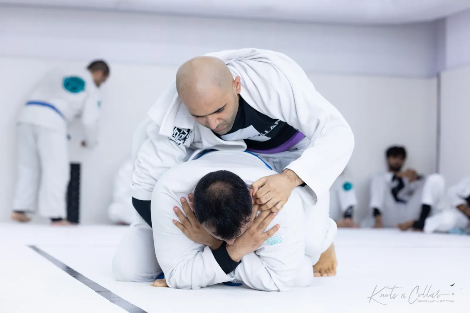 King of the Tatami — Adults, August 2026: a Brazilian Jiu-Jitsu competition at Knots & Collar, Defence Colony, New Delhi, India
