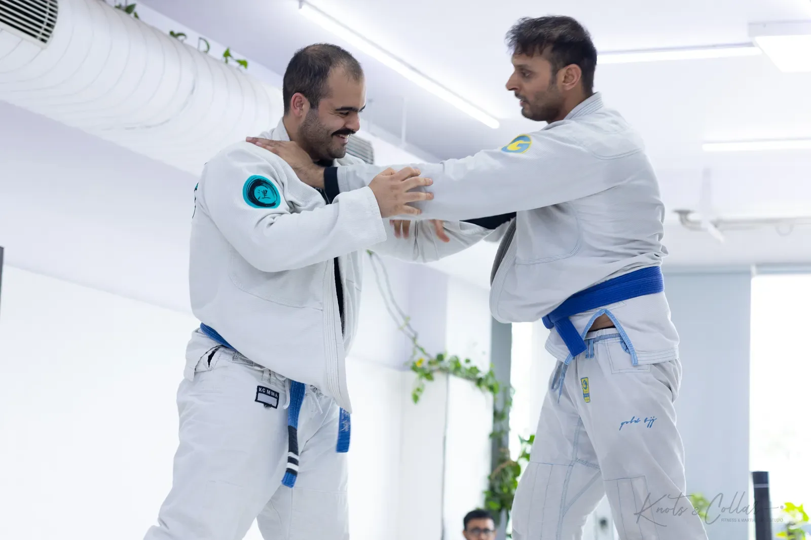 King of the Tatami — Adults, August 2026: a Brazilian Jiu-Jitsu competition at Knots & Collar, Defence Colony, New Delhi, India