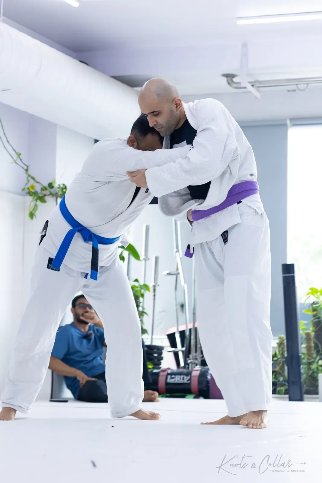 Adults competing at King of the Tatami (August 2026) at Knots & Collar, Defence Colony, New Delhi, India