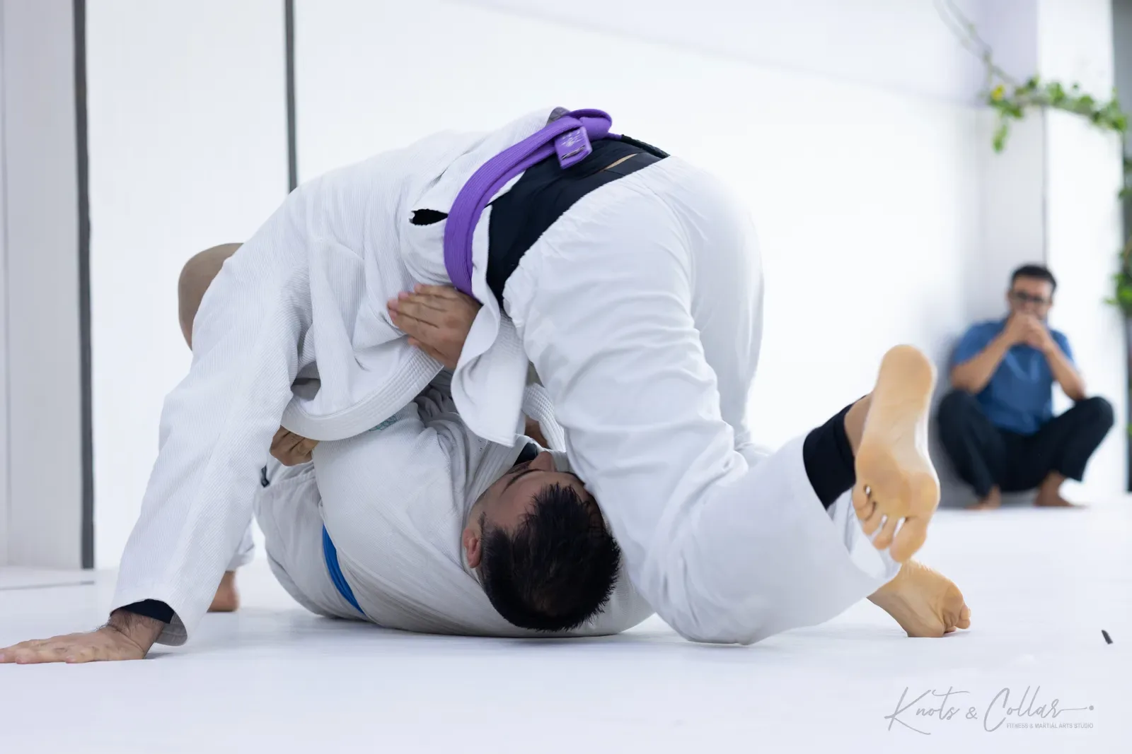 King of the Tatami — Adults, August 2026: a Brazilian Jiu-Jitsu competition at Knots & Collar, Defence Colony, New Delhi, India