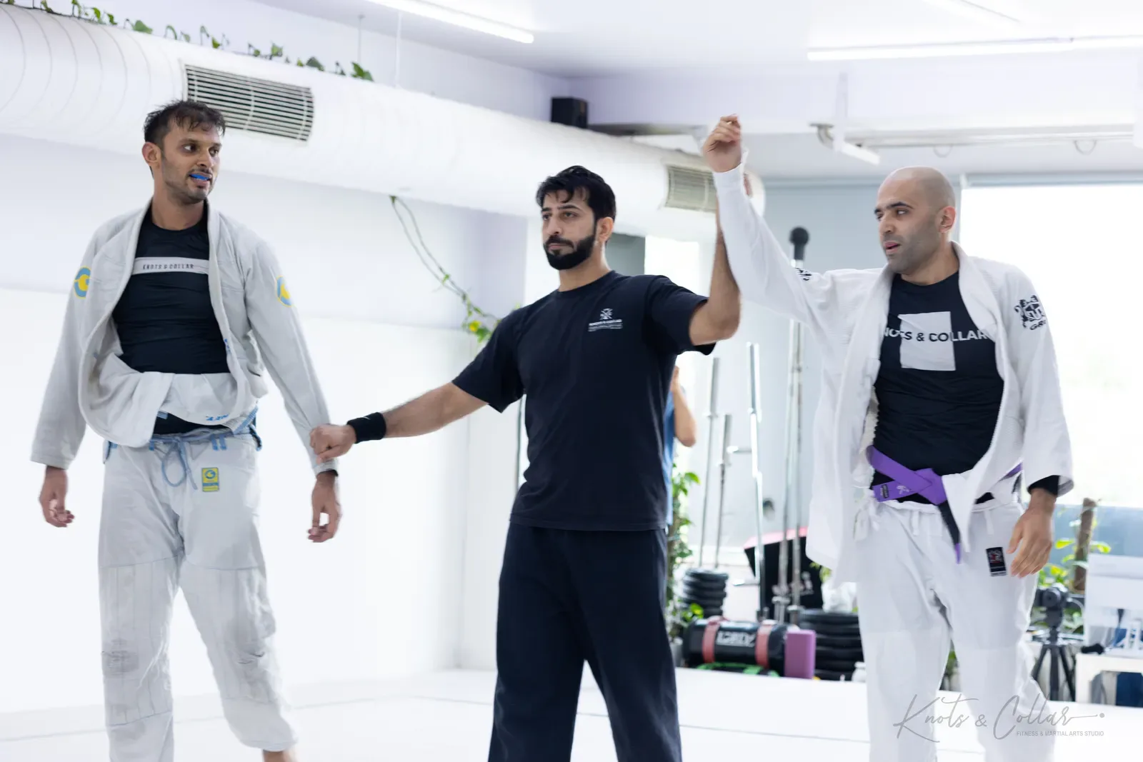 King of the Tatami — Adults, August 2026: a Brazilian Jiu-Jitsu competition at Knots & Collar, Defence Colony, New Delhi, India