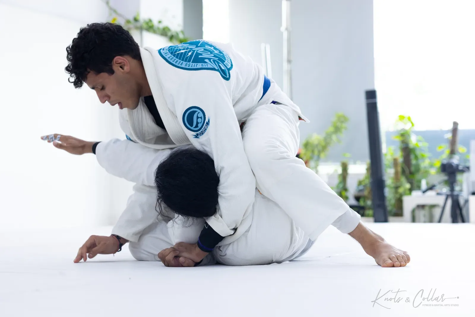 Adults competing at King of the Tatami (August 2026) at Knots & Collar, Defence Colony, New Delhi, India