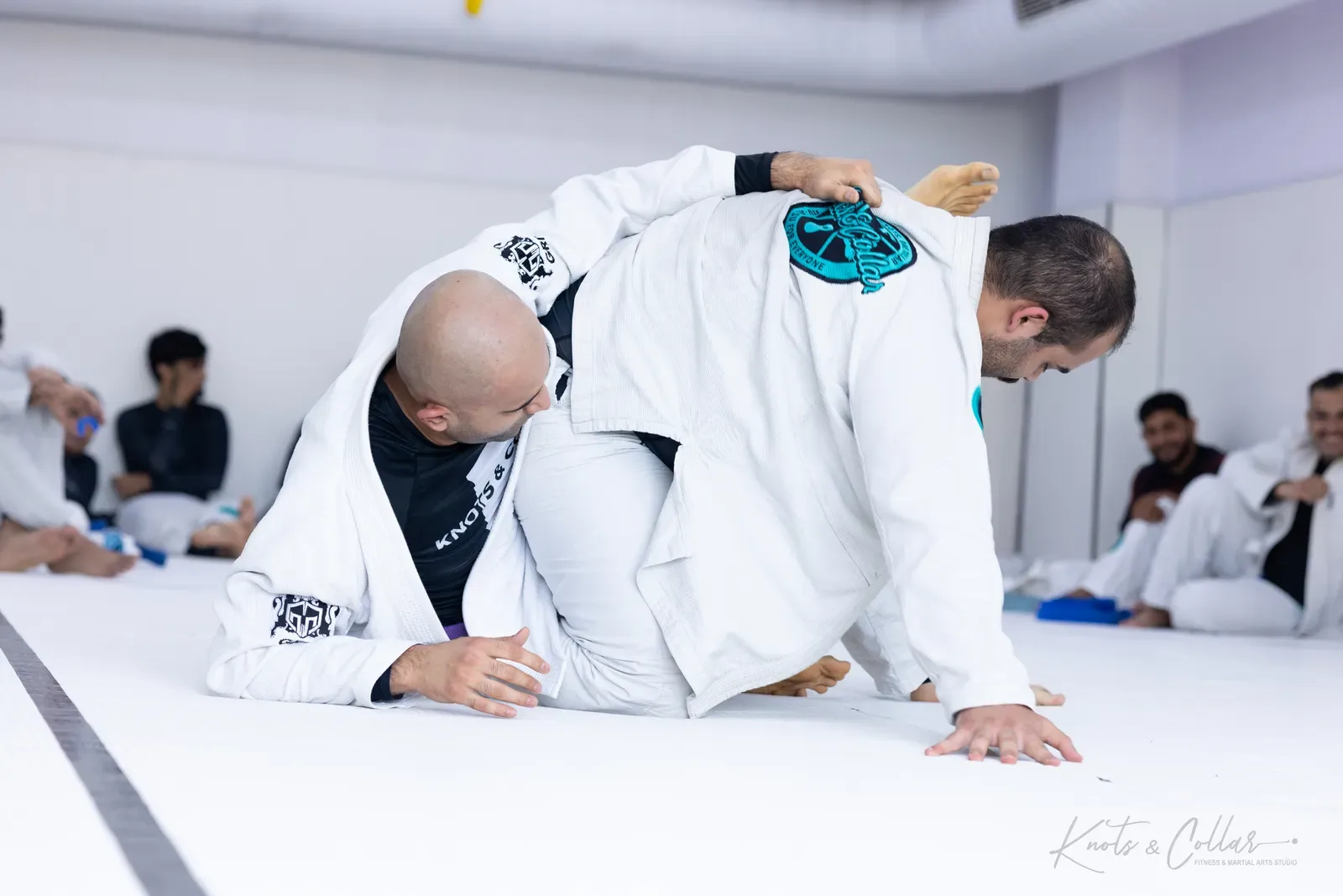 King of the Tatami — Adults, August 2026: a Brazilian Jiu-Jitsu competition at Knots & Collar, Defence Colony, New Delhi, India