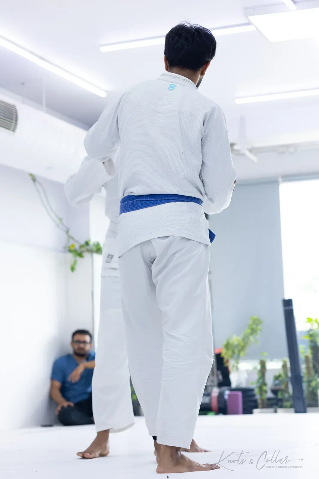 Adults competing at King of the Tatami (August 2026) at Knots & Collar, Defence Colony, New Delhi, India
